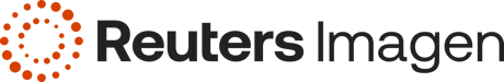 The Future of Media Distribution: Key Trends and Insights